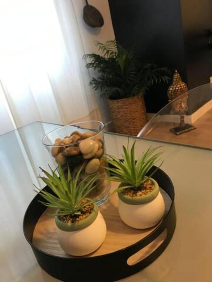 Nuevo Apartamento En Playa De Las Canteras Las Palmas de Gran Canaria Luaran gambar